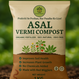 vermicompost 1 kg price